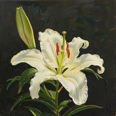 Peinture de Lys Blanc